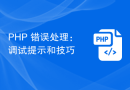 PHP 错误处理：调试提示和技巧
