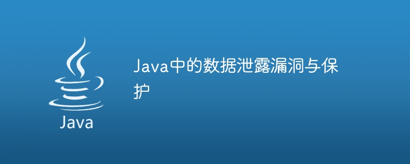Java中的数据泄露漏洞与保护