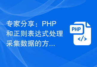 Perkongsian pakar: Metodologi untuk memproses data yang dikumpul dengan PHP dan ungkapan biasa