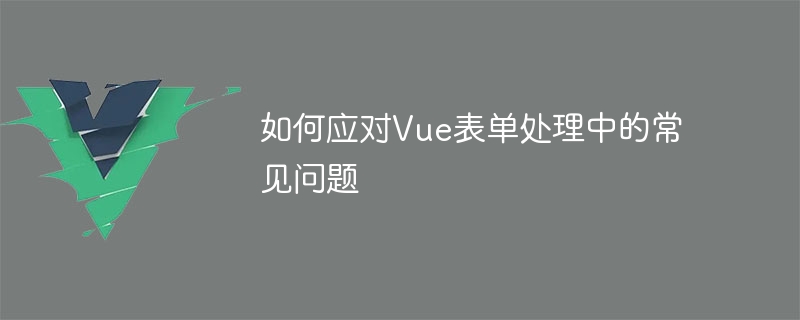 Vue フォーム処理における一般的な問題に対処する方法