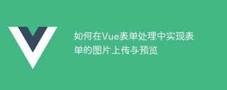 How to implement form image upload and preview in Vue form processing