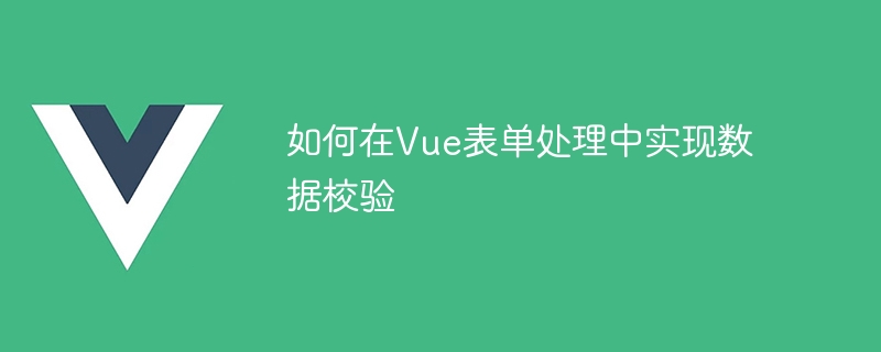 如何在Vue表單處理中實現資料校驗