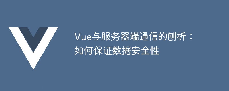 Vue 및 서버 측 통신 분석: 데이터 보안을 보장하는 방법