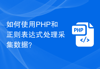 PHP와 정규식을 사용하여 수집된 데이터를 처리하는 방법은 무엇입니까?