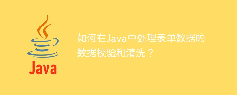 如何在Java中處理表單資料的資料校驗和清洗？