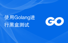 使用Golang进行黑盒测试