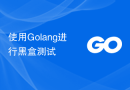 使用Golang进行黑盒测试