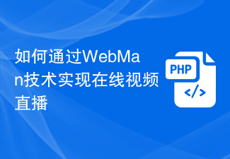 如何通过WebMan技术实现在线视频直播