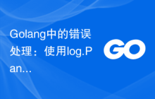 Golang中的错误处理：使用log.Panic函数处理panic异常