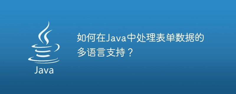 如何在Java中处理表单数据的多语言支持？