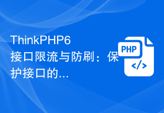 ThinkPHP6 interface current limiting and anti-brushing: protecting the security of the interface