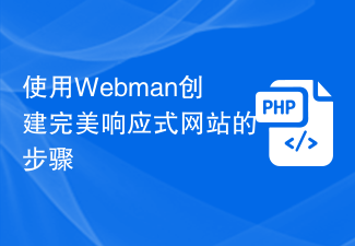 Webman으로 완벽하게 반응하는 웹사이트를 만드는 단계