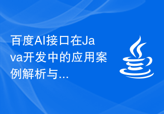 Analyse und Zusammenfassung von Anwendungsfällen der Baidu AI-Schnittstelle in der Java-Entwicklung