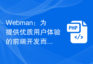 Webman：為提供優質使用者體驗的前端開發而生的完美框架