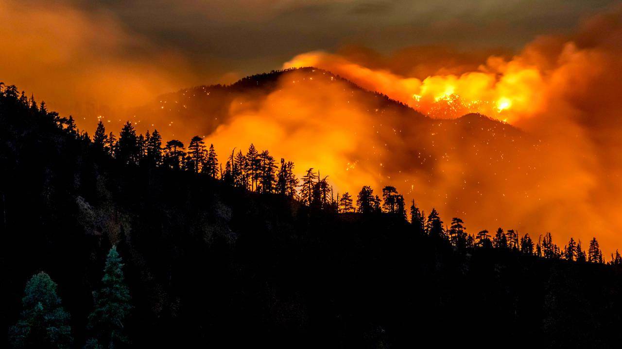 California uses AI to monitor wildfires: 1,032 cameras are connected to the Internet to scan for forest anomalies