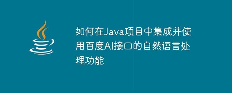 Baidu AI 인터페이스의 자연어 처리 기능을 Java 프로젝트에 통합하고 사용하는 방법