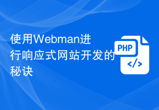 Webman을 사용한 반응형 웹사이트 개발을 위한 팁