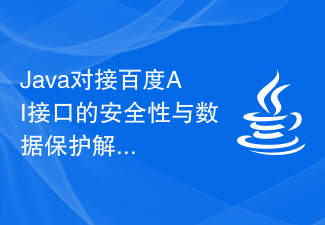 Java security and data protection solution for Baidu AI interface