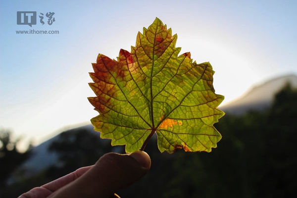 Today is the beginning of autumn: the wind blows a leaf, and everything has begun to fall.