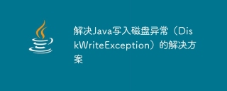 Solution to Java write disk exception (DiskWriteException)