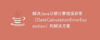 Solutions to solve Java date calculation error exception (DateCalculationErrorExceotion)