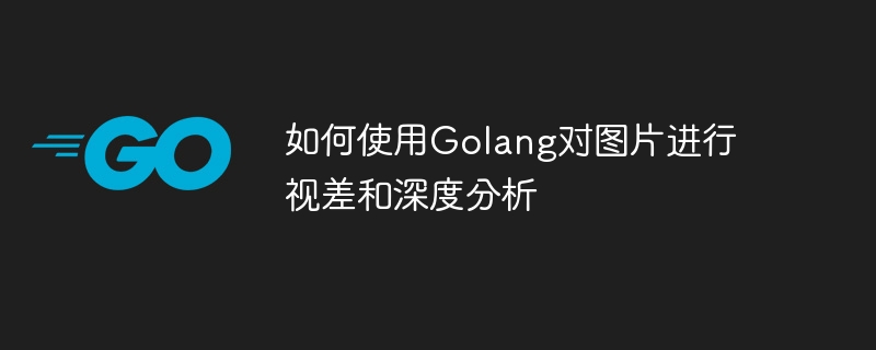 Golang을 사용하여 이미지의 시차 및 깊이 분석을 수행하는 방법