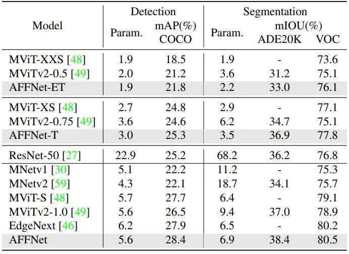 New backbone of lightweight visual network: efficient Fourier operator token mixer