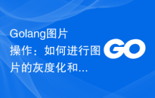 Golang图片操作：如何进行图片的灰度化和亮度调整
