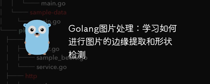 Golang 이미지 처리: 이미지에서 가장자리 추출 및 모양 감지를 수행하는 방법을 알아봅니다.