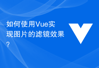 如何使用Vue实现图片的滤镜效果？