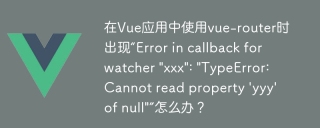在Vue应用中使用vue-router时出现“Error in callback for watcher