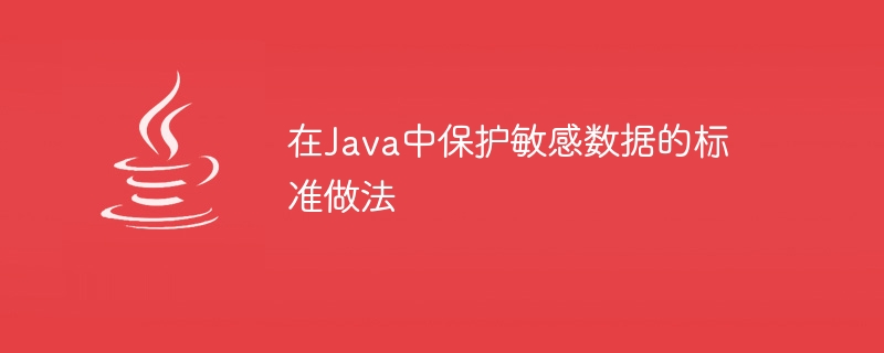 Java의 민감한 데이터를 보호하기 위한 표준 사례