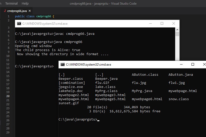 Java program opens command prompt and inserts command