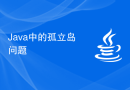 Java中的孤立岛问题