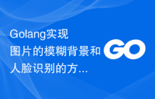 Golang实现图片的模糊背景和人脸识别的方法