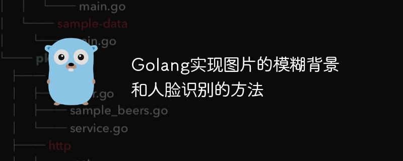 Golang實現圖片的模糊背景和人臉辨識的方法