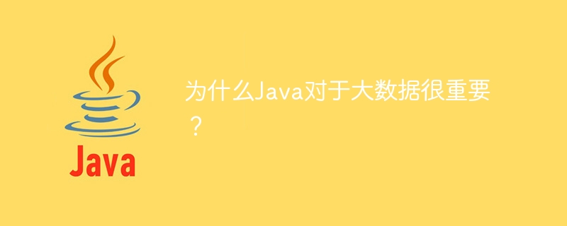 Java がビッグデータにとって重要なのはなぜですか?