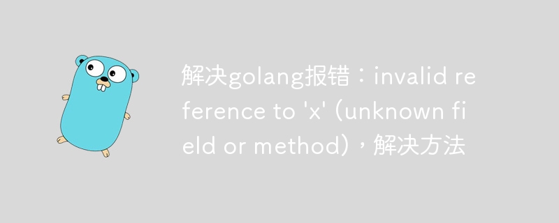 解决golang报错：invalid reference to \'x\' (unknown field or method)，解决方法