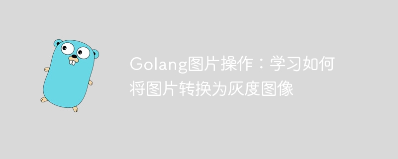 Golang 이미지 조작: 사진을 회색조로 변환하는 방법 알아보기