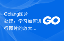 Golang图片处理：学习如何进行图片的放大和缩小