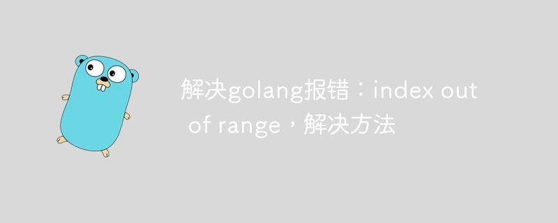 解决golang报错：index out of range，解决方法