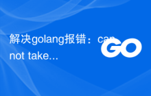 解决golang报错：cannot take the address of 'x'