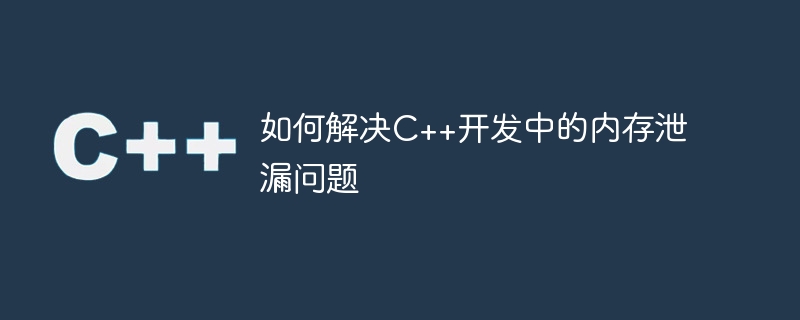 C++ 開発におけるメモリ リークの問題を解決する方法