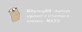 解决golang报错:duplicate argument \'x\' in function declaration,解决方法