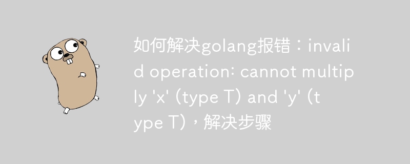 如何解决golang报错：invalid operation: cannot multiply \'x\' (type T) and \'y\' (type T)，解决步骤