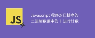 javascript 程序对已排序的二进制数组中的 1 进行计数