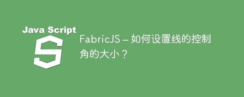 FabricJS – 如何设置线的控制角的大小？