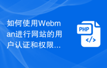 如何使用Webman进行网站的用户认证和权限管理