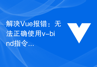 Solve Vue error: Unable to correctly use v-bind directive to bind properties