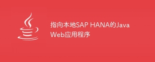 指向本地sap hana的java web应用程序
